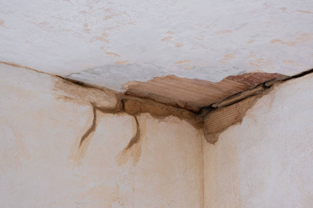 Water damage restoration mold remediation in Deer Park, TX