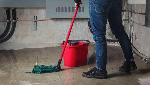 Best Sewage cleanup and water damage restoration  in Deer Park, TX