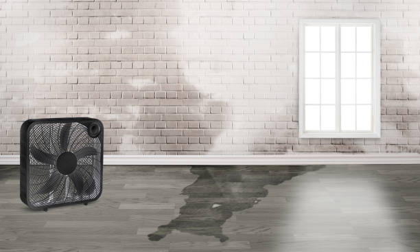 Best Water damage restoration insurance claims  in Deer Park, TX