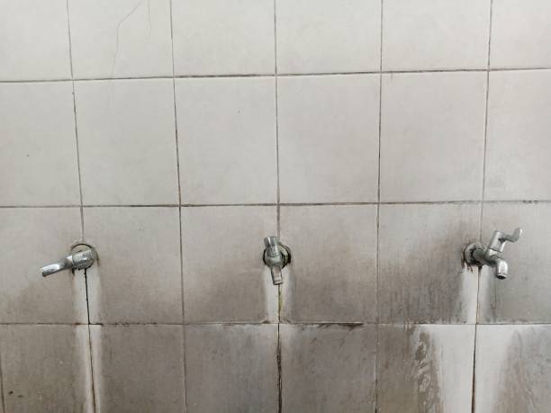 Best Commercial water damage restoration  in Deer Park, TX