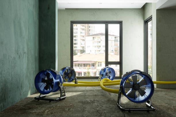 Best Water damage restoration near me  in Deer Park, TX